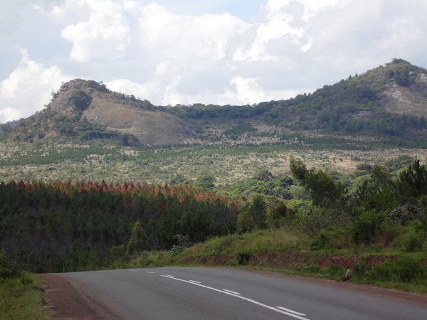 Auf dem Weg nach Mzuzu durch die bewaldeten Berge im Norden von Malawi